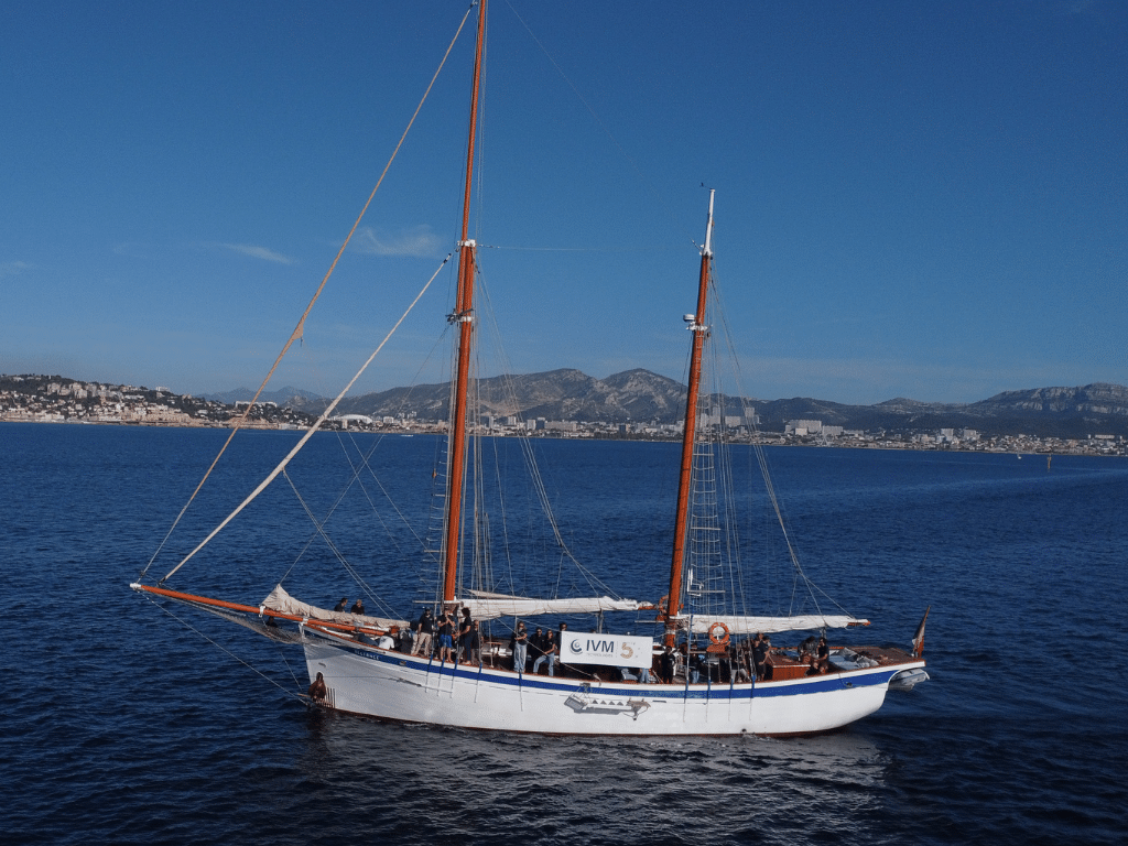 IVM Technologies team for 5th anniversary on a boat